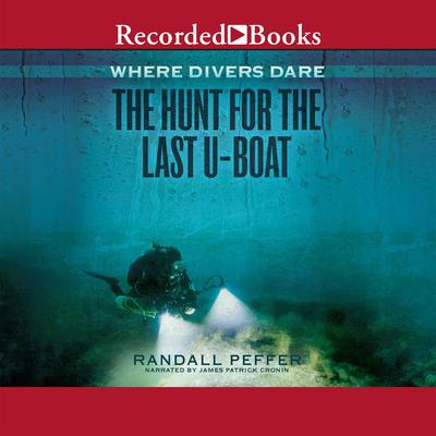 Where Divers Dare by Randall Peffer audiobook