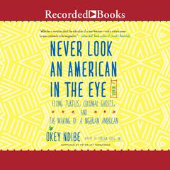 Never Look an American in the Eye by Okey Ndibe audiobook