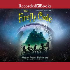 The Firefly Code by Megan Frazer Blakemore audiobook