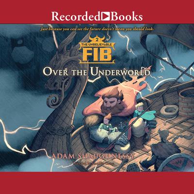 The Unbelievable FIB 2 by Adam Shaughnessy audiobook