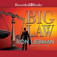 Big Law by Ron Liebman audiobook