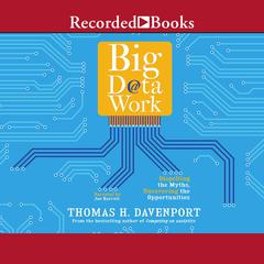Big Data at Work by Thomas H. Davenport audiobook