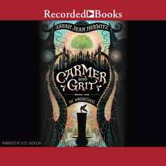 The Wingsnatchers by Sarah Jean Horwitz audiobook