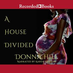 A House Divided by Donna Hill audiobook