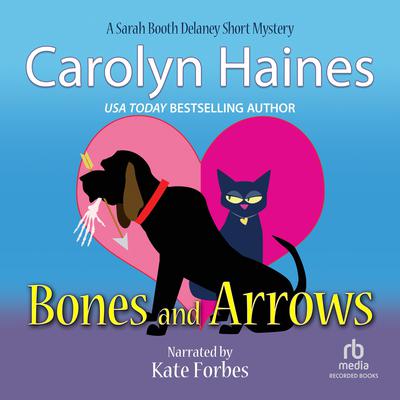 Bones and Arrows by Carolyn Haines audiobook