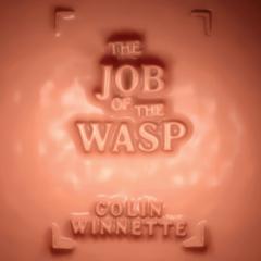 The Job of the Wasp by Colin Winnette audiobook