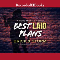 Best Laid Plans by Brick  audiobook