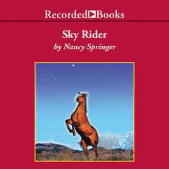 Sky Rider by Nancy Springer audiobook