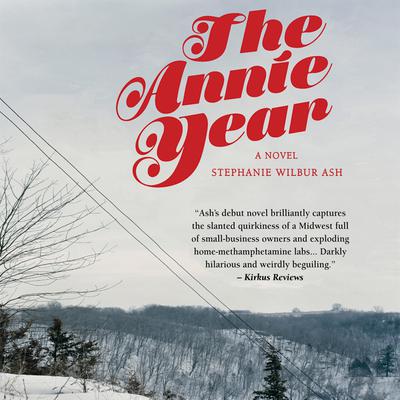 The Annie Year by Stephanie Ash audiobook