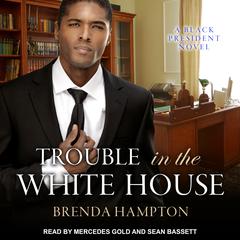Trouble in the White House by Brenda Hampton audiobook