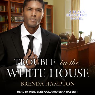 Trouble in the White House by Brenda Hampton audiobook