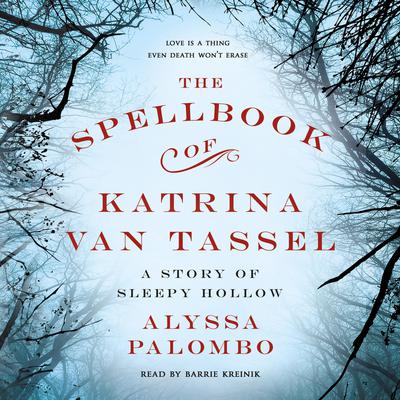 The Spellbook of Katrina Van Tassel by Alyssa Palombo audiobook