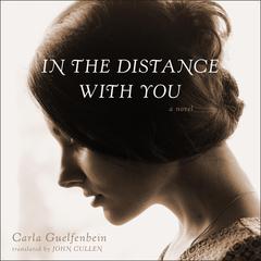 In the Distance With You by Carla Guelfenbein audiobook