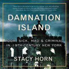 Damnation Island by Stacy Horn audiobook