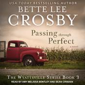 Passing through Perfect by  Bette Lee Crosby audiobook