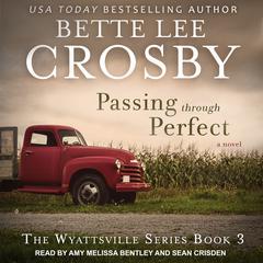 Passing through Perfect by Bette Lee Crosby audiobook