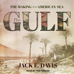 The Gulf by Jack E. Davis audiobook