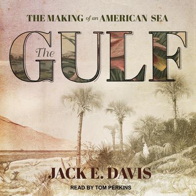 The Gulf by Jack E. Davis audiobook