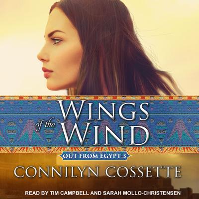 Wings of the Wind by Connilyn Cossette audiobook