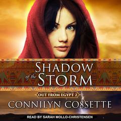 Shadow of the Storm by Connilyn Cossette audiobook