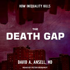 The Death Gap by David A. Ansell audiobook