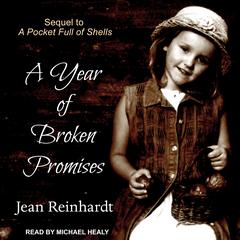 A Year of Broken Promises by Jean Reinhardt audiobook