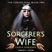 The Sorcerer's Wife by  Jaclyn Dolamore audiobook