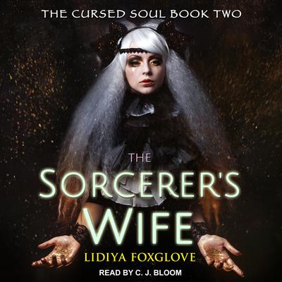 The Sorcerer's Wife by Jaclyn Dolamore audiobook