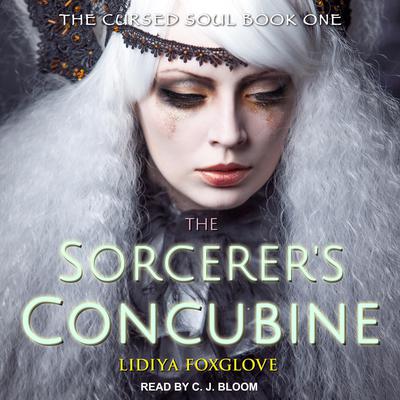 The Sorcerer's Concubine by Jaclyn Dolamore audiobook