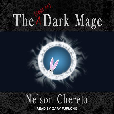 The (sort of) Dark Mage by Nelson Chereta audiobook