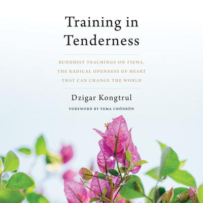 Training in Tenderness by Dzigar Kongtrül audiobook