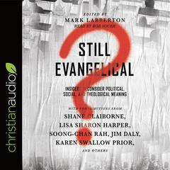 Still Evangelical? by Mark Labberton audiobook