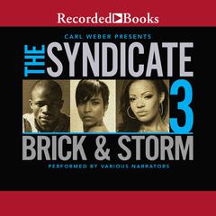 The Syndicate 3 by Brick  audiobook