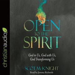 Open to the Spirit by Scot McKnight audiobook