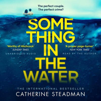 Something in the Water by Catherine Steadman audiobook