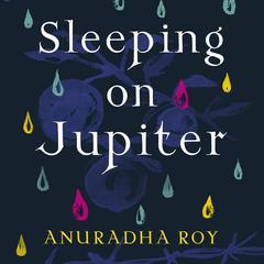 Sleeping on Jupiter by Anuradha Roy audiobook