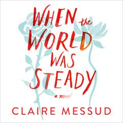 When the World Was Steady by Claire Messud audiobook