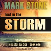 Lost in the Storm by  Dr. Mark Stone audiobook