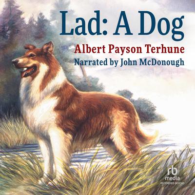 Lad by Albert Payson Terhune audiobook