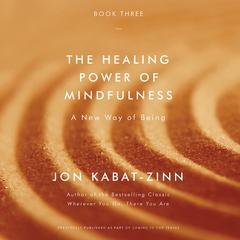 The Healing Power of Mindfulness by Jon Kabat-Zinn audiobook