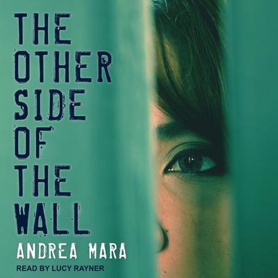 The Other Side of the Wall by Andrea Mara audiobook
