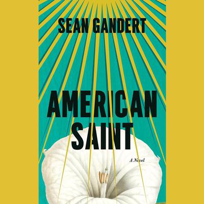 American Saint by Sean Gandert audiobook