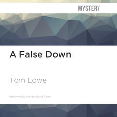 A False Down by Tom Lowe audiobook