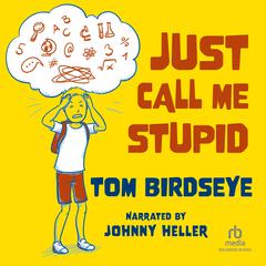 Just Call Me Stupid by Tom Birdseye audiobook