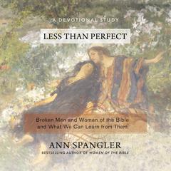 Less Than Perfect by Ann Spangler audiobook