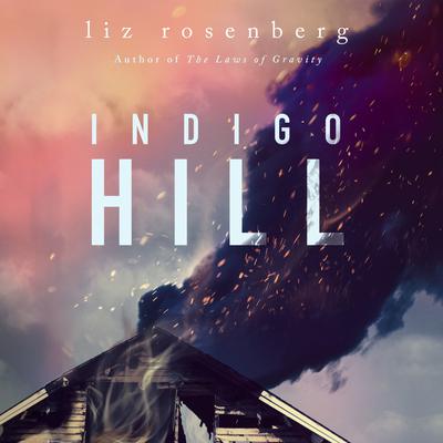 Indigo Hill by Liz Rosenberg audiobook
