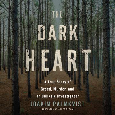 The Dark Heart by Joakim Palmkvist audiobook