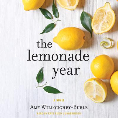 The Lemonade Year by Amy Willoughby-Burle audiobook