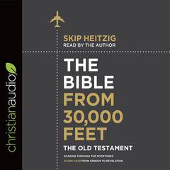 Bible from 30,000 Feet: The Old Testament by Skip Heitzig audiobook