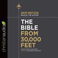 Bible from 30,000 Feet by Skip Heitzig audiobook